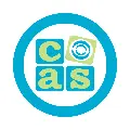 My Website